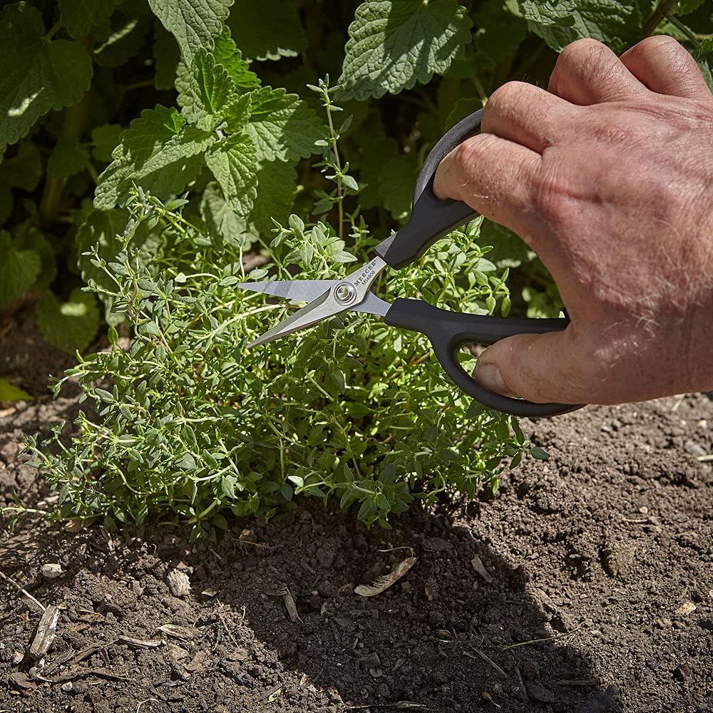 Herb Snips, 6 1/2-Inch