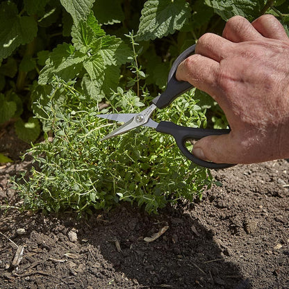 Herb Snips, 6 1/2-Inch