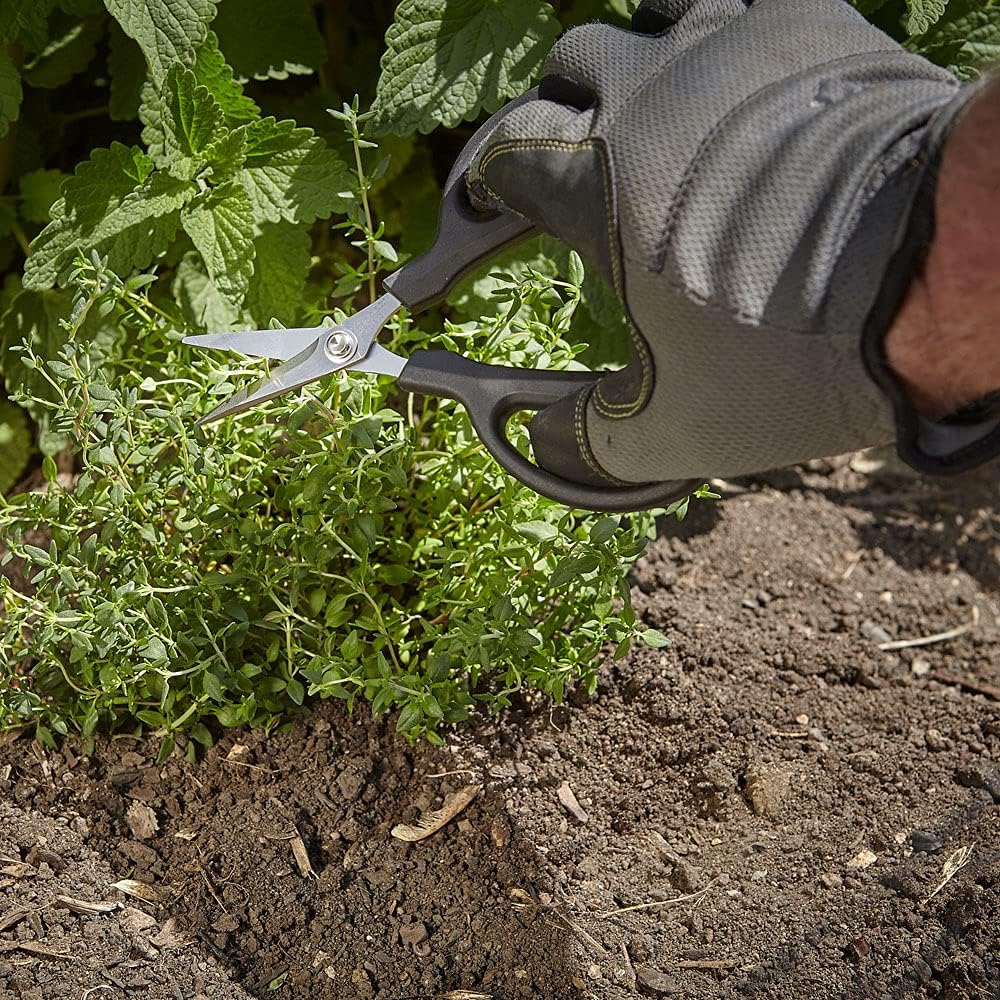 Herb Snips, 6 1/2-Inch
