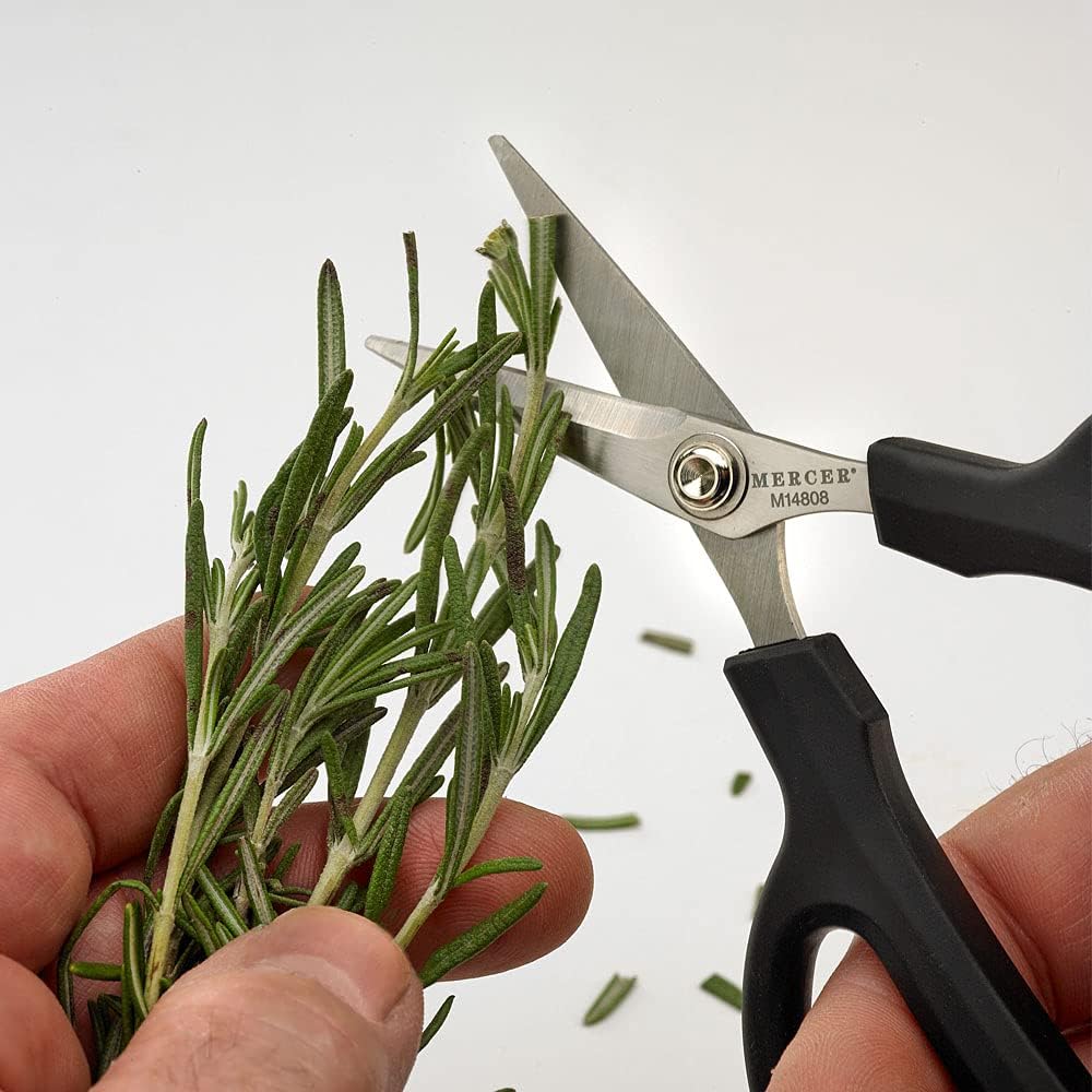 Herb Snips, 6 1/2-Inch