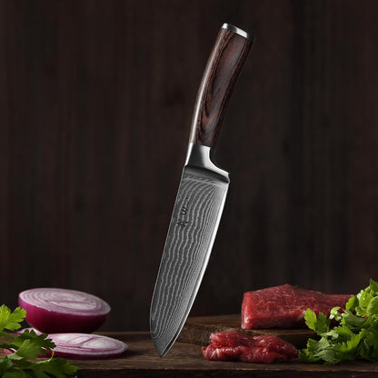 EDIB 4-Piece Damascus Knife Set – Professional Kitchen Knife Set, 67-Layer Genuine Damascus Steel, High Carbon Stainless Steel Core (VG10), Ergonomic Pakkawood Handles, In Elegant Gift Box