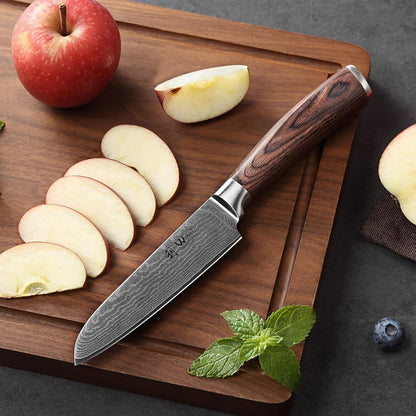 EDIB 4-Piece Damascus Knife Set – Professional Kitchen Knife Set, 67-Layer Genuine Damascus Steel, High Carbon Stainless Steel Core (VG10), Ergonomic Pakkawood Handles, In Elegant Gift Box