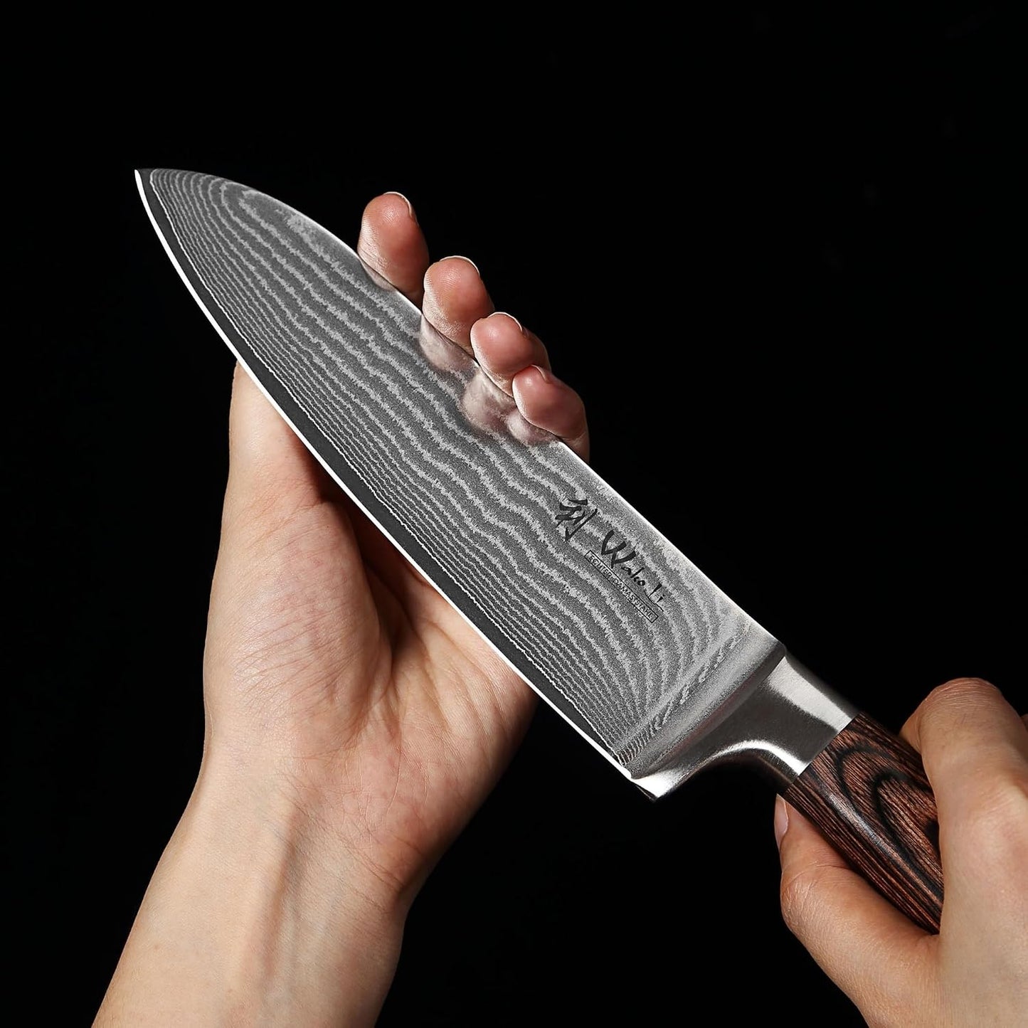 EDIB 4-Piece Damascus Knife Set – Professional Kitchen Knife Set, 67-Layer Genuine Damascus Steel, High Carbon Stainless Steel Core (VG10), Ergonomic Pakkawood Handles, In Elegant Gift Box