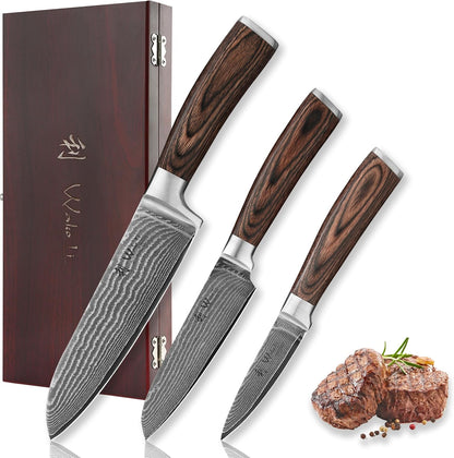 EDIB 4-Piece Damascus Knife Set – Professional Kitchen Knife Set, 67-Layer Genuine Damascus Steel, High Carbon Stainless Steel Core (VG10), Ergonomic Pakkawood Handles, In Elegant Gift Box