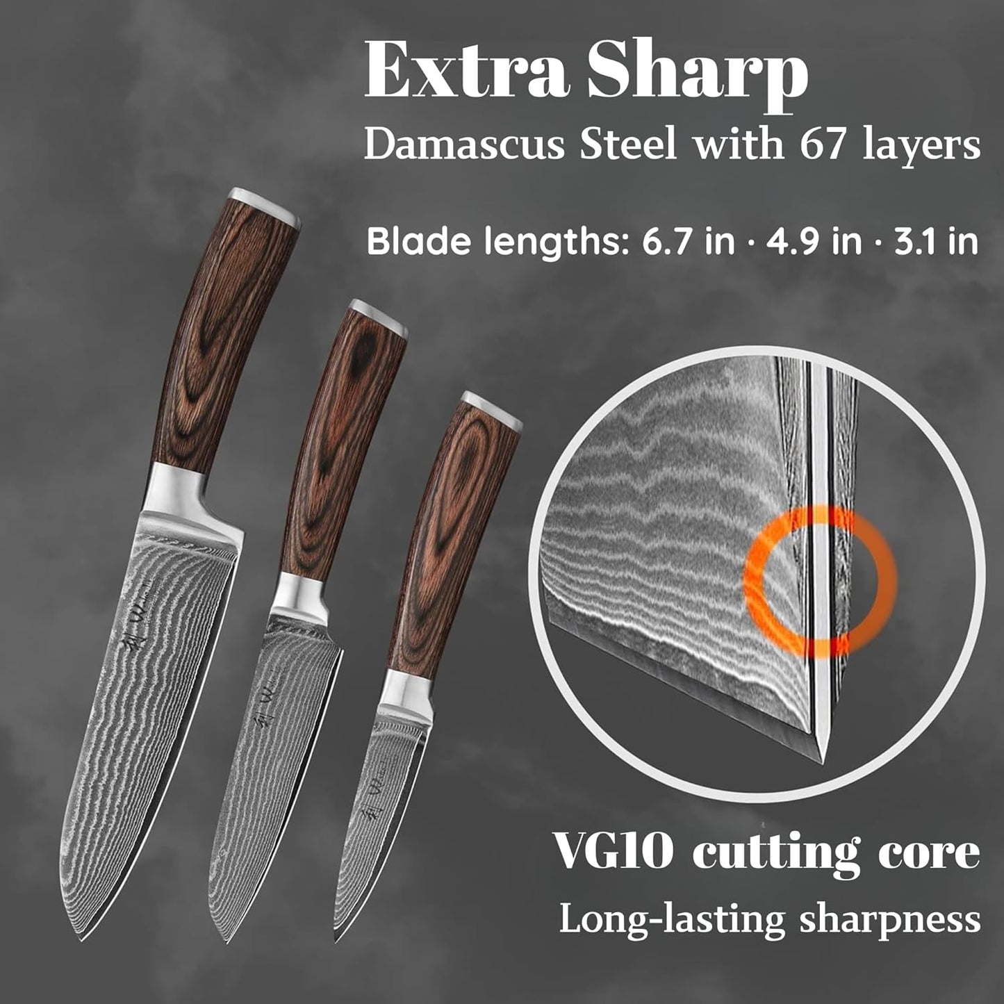 EDIB 4-Piece Damascus Knife Set – Professional Kitchen Knife Set, 67-Layer Genuine Damascus Steel, High Carbon Stainless Steel Core (VG10), Ergonomic Pakkawood Handles, In Elegant Gift Box