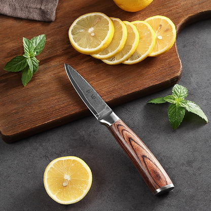 EDIB 4-Piece Damascus Knife Set – Professional Kitchen Knife Set, 67-Layer Genuine Damascus Steel, High Carbon Stainless Steel Core (VG10), Ergonomic Pakkawood Handles, In Elegant Gift Box