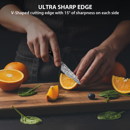 4 Inch Paring Knife, Kitchen Knife Fruit Knives with Sheath, German High Carbon Stainless Steel EN1.4116 Precision Cooking Vegetable Knife for Carving, Peeling, Trimming