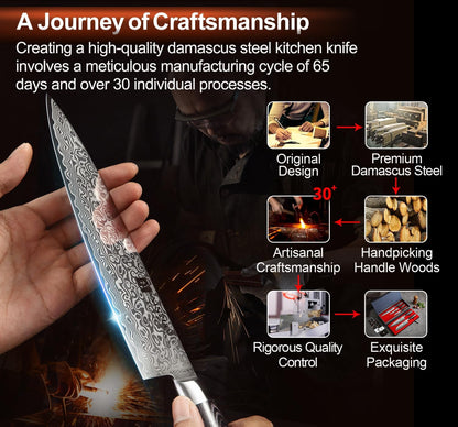 Paring kitchen Knife, 5 Inch Super Sharp Damascus Steel Petty Knife, Fruit Knife, Pakkawood Handle, Gift Box