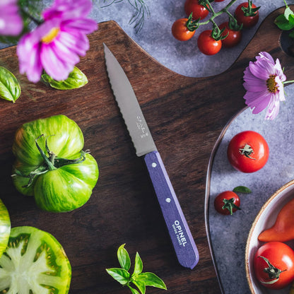 No. 113 Essential Paring Knife, Serrated Edge, Hornbeam (Natural)