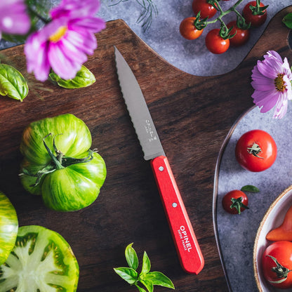 No. 113 Essential Paring Knife, Serrated Edge, Hornbeam (Natural)