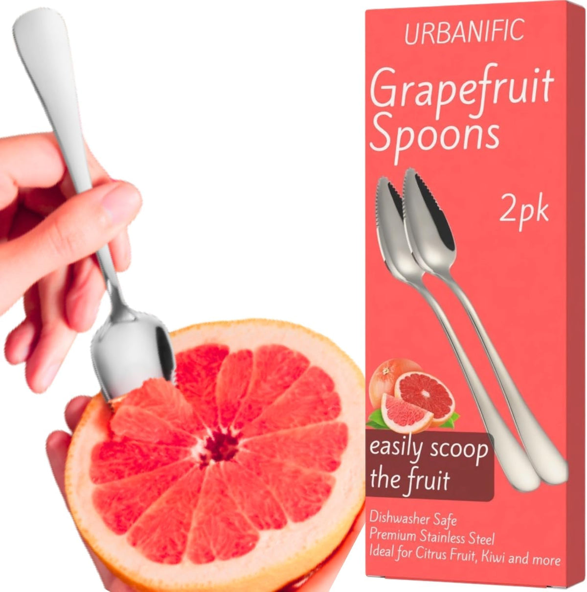 Grapefruit Spoons – Serrated Edge 304 Stainless Steel Spoon - 2PK