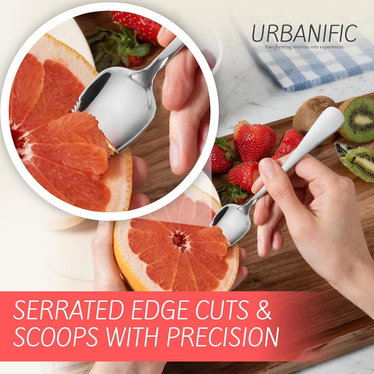 Grapefruit Spoons – Serrated Edge 304 Stainless Steel Spoon - 2PK