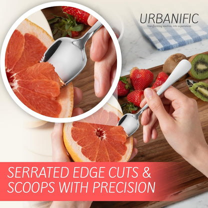 Grapefruit Spoons – Serrated Edge 304 Stainless Steel Spoon - 2PK