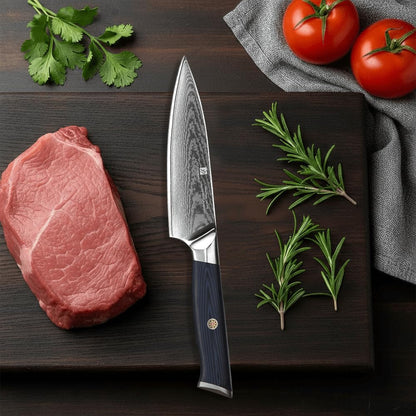 Utility Knife,5.5inch Damascus knife,67-Layer High Carbon Stainless Steel Kitchen Knife,Professiona Sharp Cutting Knives with Black Ergonomic G10 Handle,Gift Box for Home and Kitchen Birthday Gift