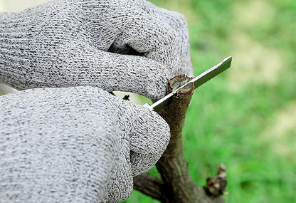 Grafting Knife With 2 Blades & 2 Tapes - Stainless Steel Gardening Tool for Plant Grafting, Pruning, Fruit Picking - Portable Rosewood Handle, Bark Lifter (Foldable)