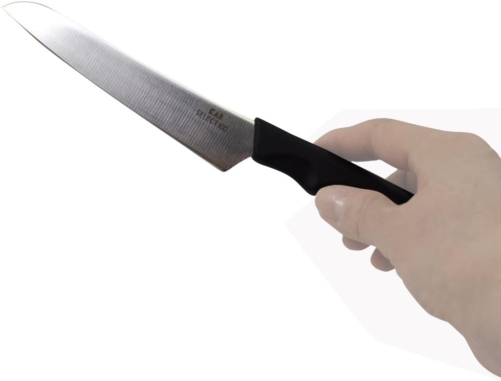 SELECT 100 fruit knife DH-3014
