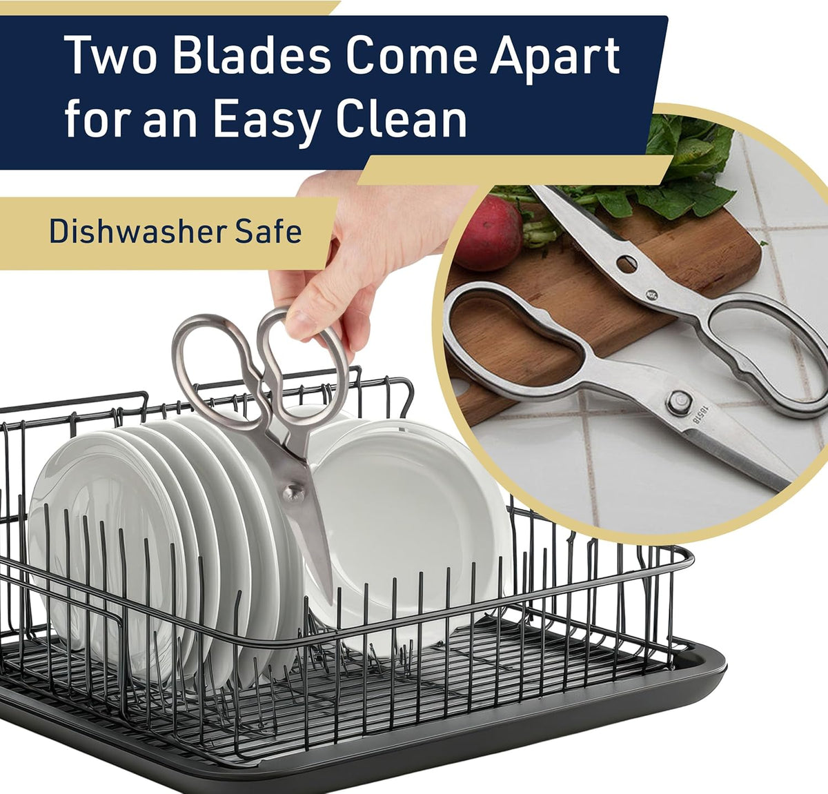 Heavy Duty Kitchen Scissors - Multipurpose Forged Stainless Steel Scissors for Meat, Chicken, Fish, and Herbs - 8.25 Inch Kitchen Shears that Come Apart for Easy Cleaning