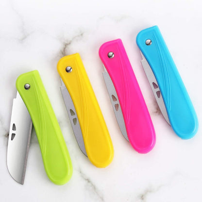 Fruit Knife Small, New Foldable Fruit Knife Set, 4 Pieces