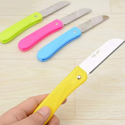 Fruit Knife Small, New Foldable Fruit Knife Set, 4 Pieces
