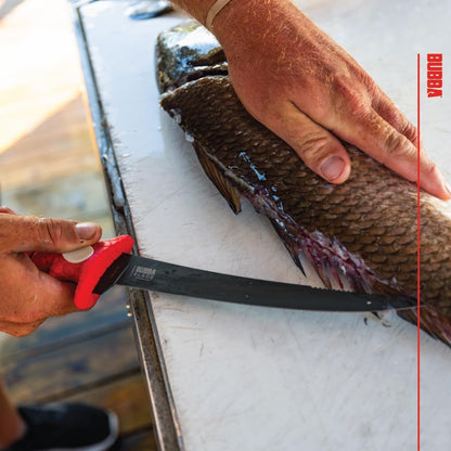 Tapered Flex Fillet Knife with Back Serrated Spine, Included Molded Sheath for Filleting, Outdoors, 9"