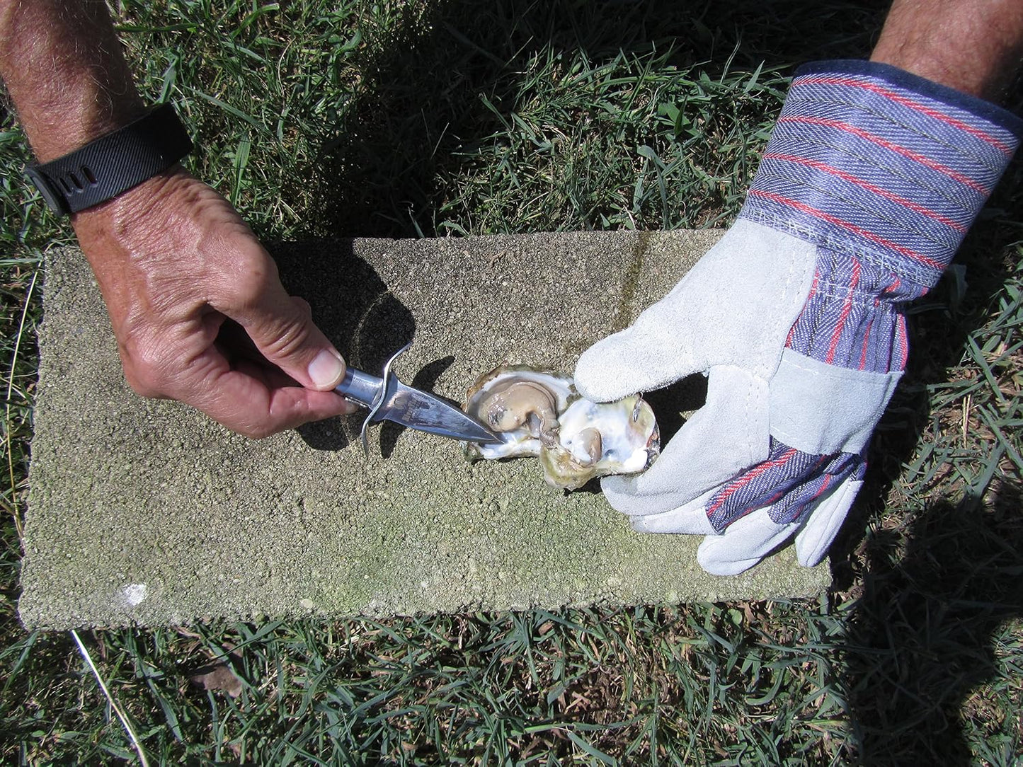 Oyster Shucking Knife Stainless Steel | Clam/Shellfish Opener, Seafood Knife, Guaranteed