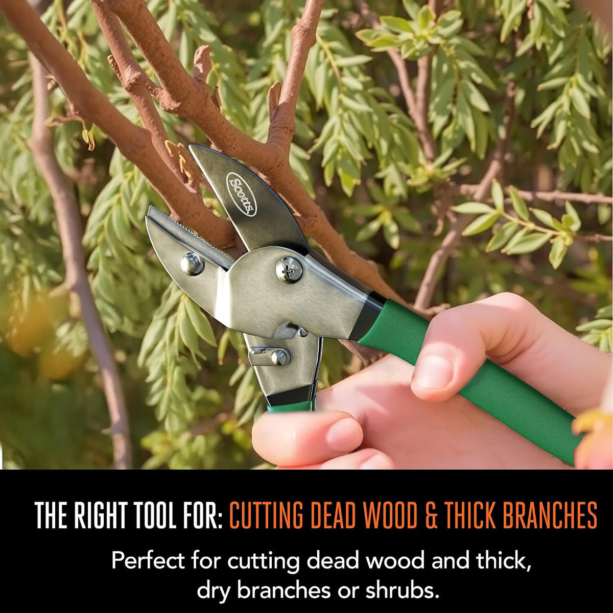 8 in. All-Purpose Steel Garden Utility Shears with Serrated Blades – Comfort Grip Yard and Garden Scissors for Pruning Plants, Flowers, and Herbs