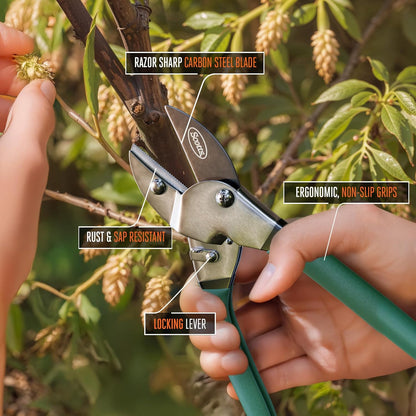 8 in. All-Purpose Steel Garden Utility Shears with Serrated Blades – Comfort Grip Yard and Garden Scissors for Pruning Plants, Flowers, and Herbs