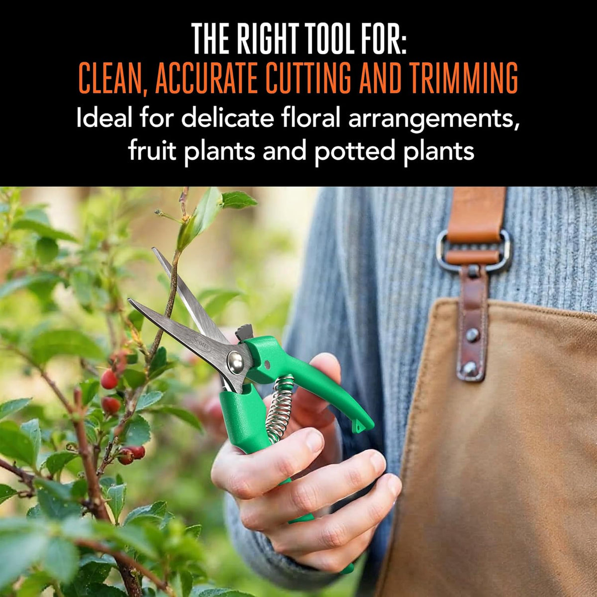 8 in. All-Purpose Steel Garden Utility Shears with Serrated Blades – Comfort Grip Yard and Garden Scissors for Pruning Plants, Flowers, and Herbs