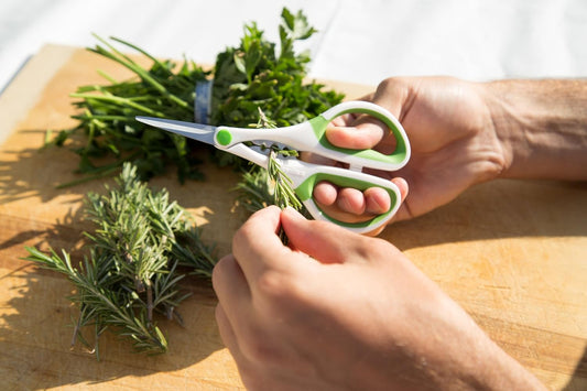 Heavy Duty Home & Kitchen Herb Shears Scissors with Innovative Stem Stripper, Versatile Kitchen Shears for Trimming Weeds, Flower Buds & More - White/Green - 8.5 x 4.2 x 0.4 inches