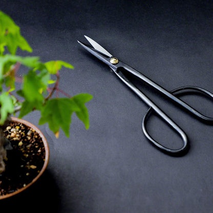 Wazakura 2PCS Japanese Bonsai Trimming Kit MADE IN JAPAN, Twig Bonsai Scissors 8-1/4inch(210mm) + Sap Rust Eraser Set