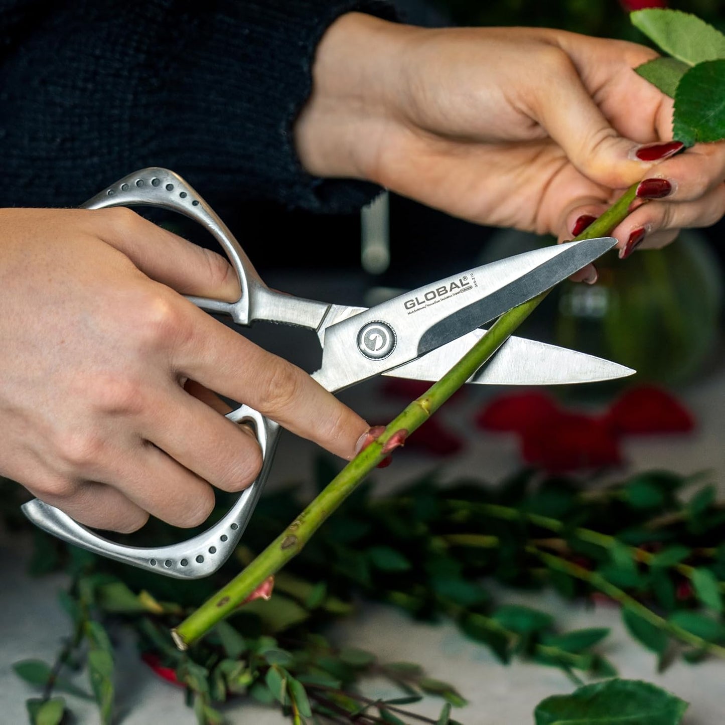shears, Stainless