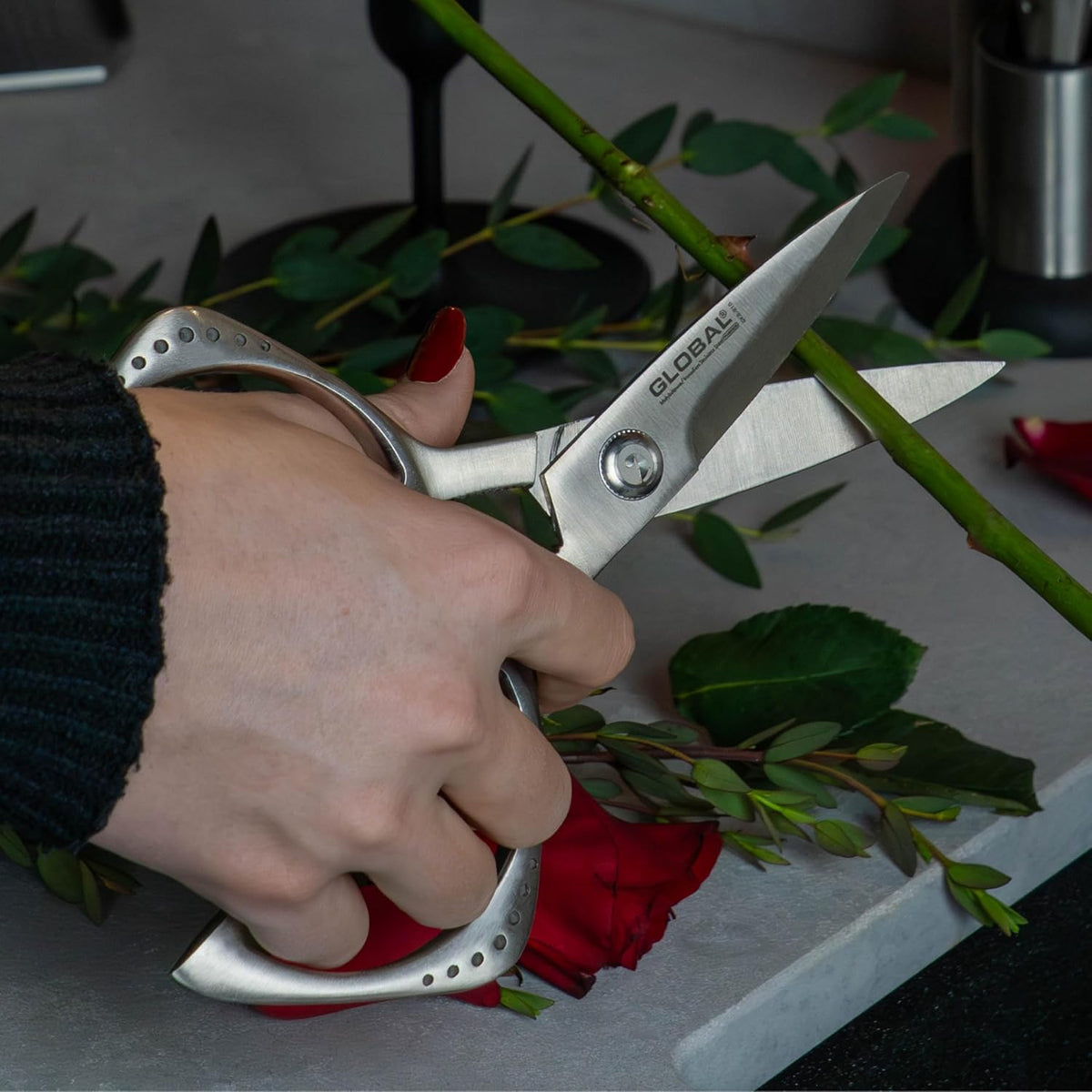 shears, Stainless