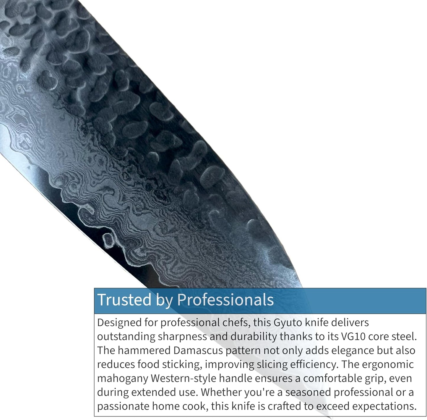 Sakai Hammered Damascus 33 Layer Vg-10 Japanese 07396 Gyuto 240mm Chef Knife