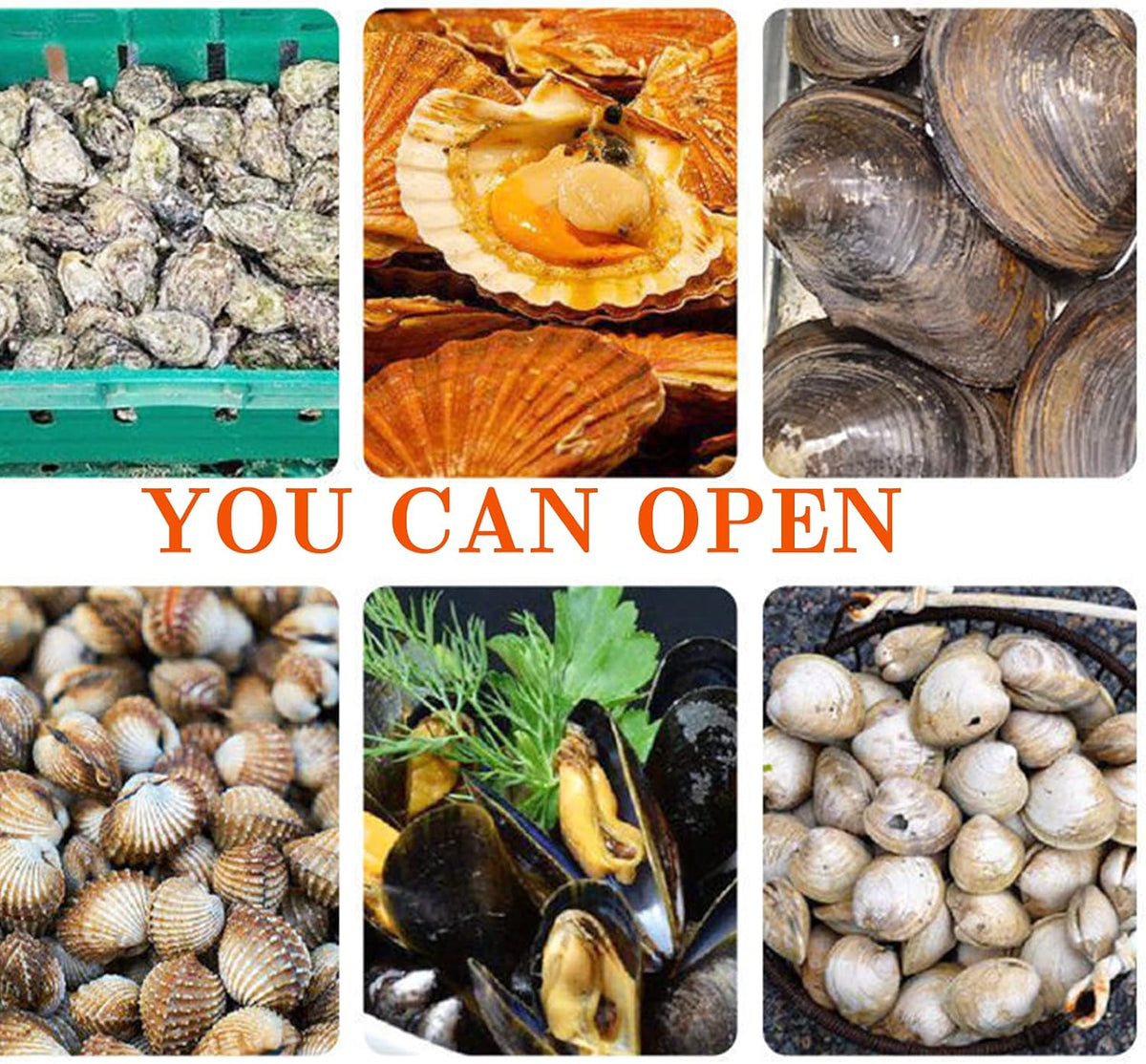Oyster Opener Machine | Clam Opener Machine， Oyster Shucker Tool Set， Shell Opener Machine，Osyster Shucker Opener Oyster Opener Tool