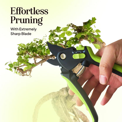 2-Pack Stainless Steel Gardening Scissors, Pruning Shears and Clippers for Gardening