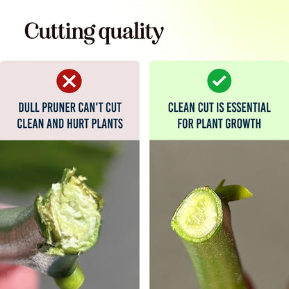 2-Pack Stainless Steel Gardening Scissors, Pruning Shears and Clippers for Gardening
