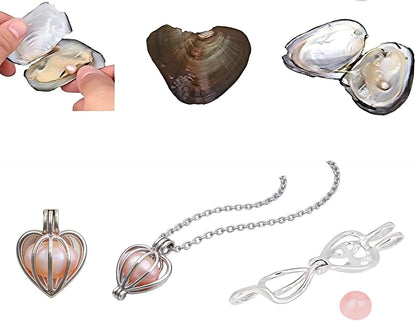 Freshwater Pearl Oyster Cultured Love Wish Round Pearls 7-8mm 4Pcs | Pearls Inside Oysters, Shining And Meaningful, DIY Necklace Pearl Kit Gift For Women