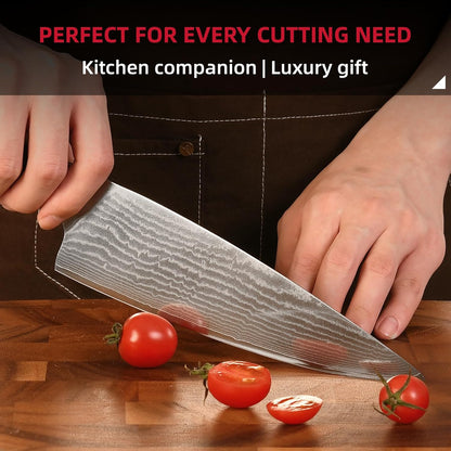9 Pieces Damascus Kitchen Knife Sets with 67-Layer Japanese Damascus Steel, ABS Ergonomic Handle, Professional Ultra Sharp Knife Sets for Chefs with Beechwood Block