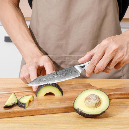 5 Inch Kitchen Utility Knife Razor Sharp Fruit and Vegetable Peeling Knives, Forged Damascus Steel with Blue and White Resin Handle - Full Tang - HUA Series