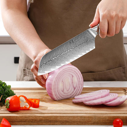 5 Inch Kitchen Utility Knife Razor Sharp Fruit and Vegetable Peeling Knives, Forged Damascus Steel with Blue and White Resin Handle - Full Tang - HUA Series