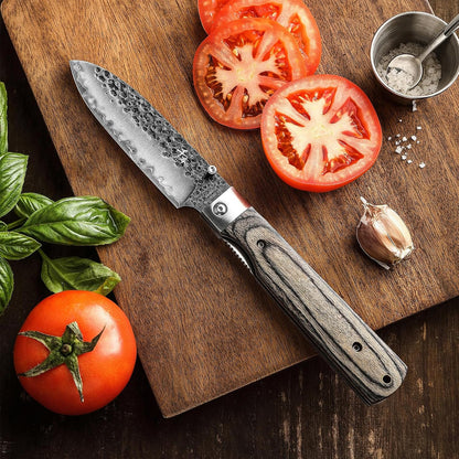 440A Forged Stainless Steel Sharp Folding Chef Knife Peeling Utility Fruit Knife Colorful Wood Handle Camping Barbecue Outdoor Portable Fruit Knife