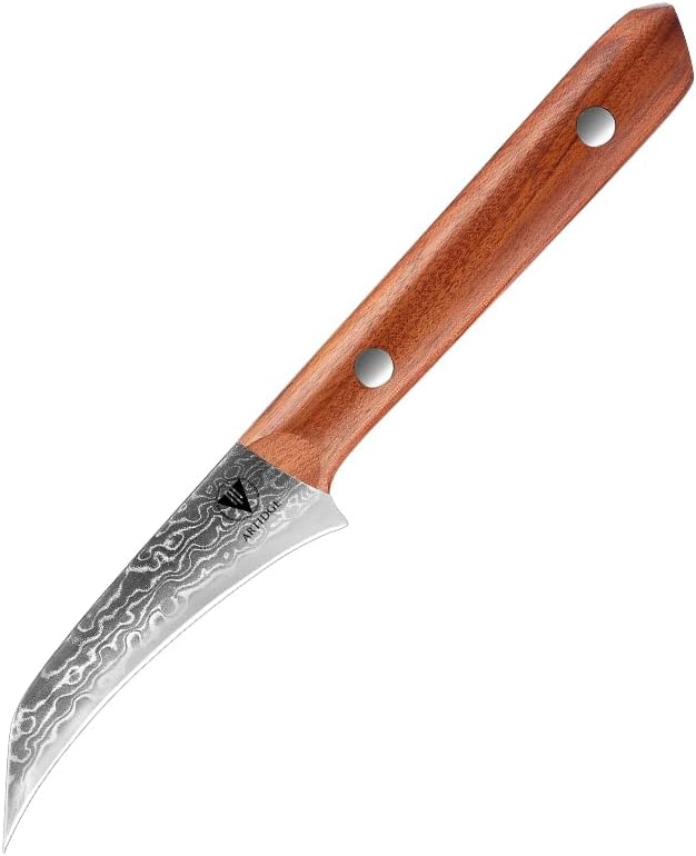 4.7" Paring Knife Damascus Steel Fruit Knives - 67-Layer Forged Kitchen Peeling Knife with Natural Solid Wood Handle Kitchen Utility Knives, 15° Double-Edged Blade, Ultra-Sharp & Durable