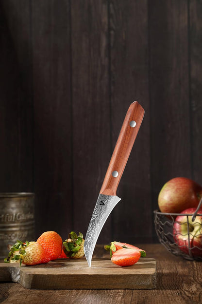 4.7" Paring Knife Damascus Steel Fruit Knives - 67-Layer Forged Kitchen Peeling Knife with Natural Solid Wood Handle Kitchen Utility Knives, 15° Double-Edged Blade, Ultra-Sharp & Durable