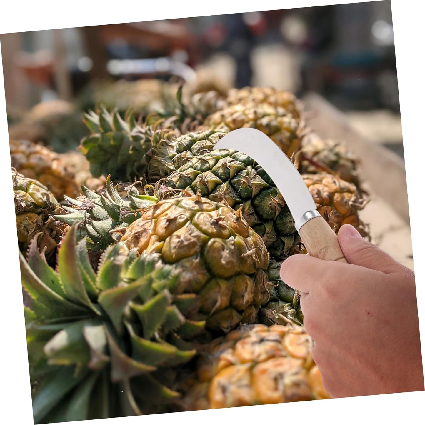 BESTOYARD Curved Pineapple Knife Stainless Steel Fruit Cutter for Peeling Coring and Carving Pineapple Jackfruit and Banana Small Sickle Knife for Kitchen Restaurant 7.08 in