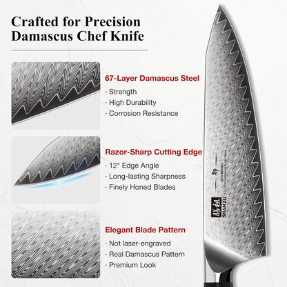 Damascus Chef Knife 8 inch, 67-Layer High Carbon Steel