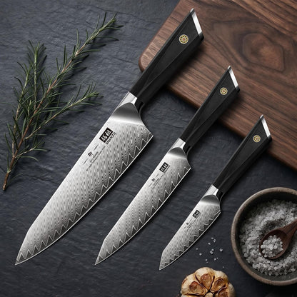 Damascus Chef Knife 8 inch, 67-Layer High Carbon Steel