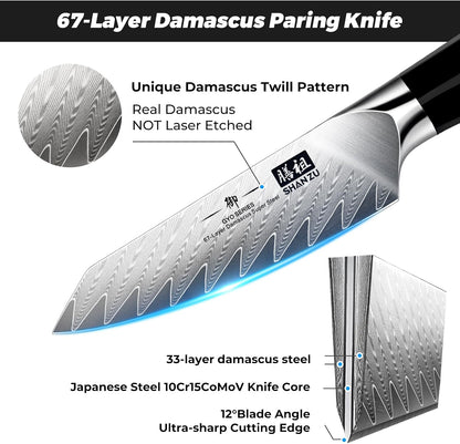 Damascus Chef Knife 8 inch, 67-Layer High Carbon Steel