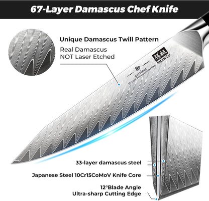 Damascus Chef Knife 8 inch, 67-Layer High Carbon Steel