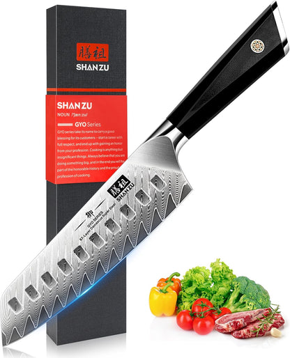 Damascus Chef Knife 8 inch, 67-Layer High Carbon Steel