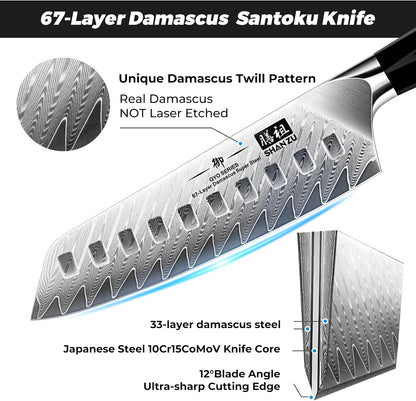 Damascus Chef Knife 8 inch, 67-Layer High Carbon Steel